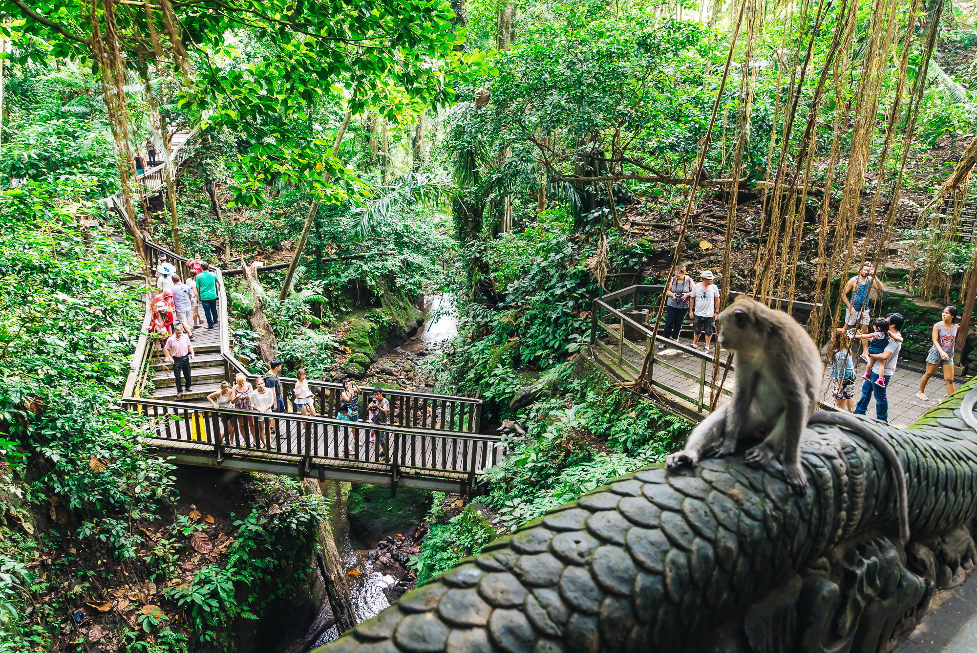 bali-island